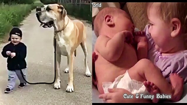 Cutest & Funniest Babies Video Compilation Funny Crying & Laughing Baby part 61