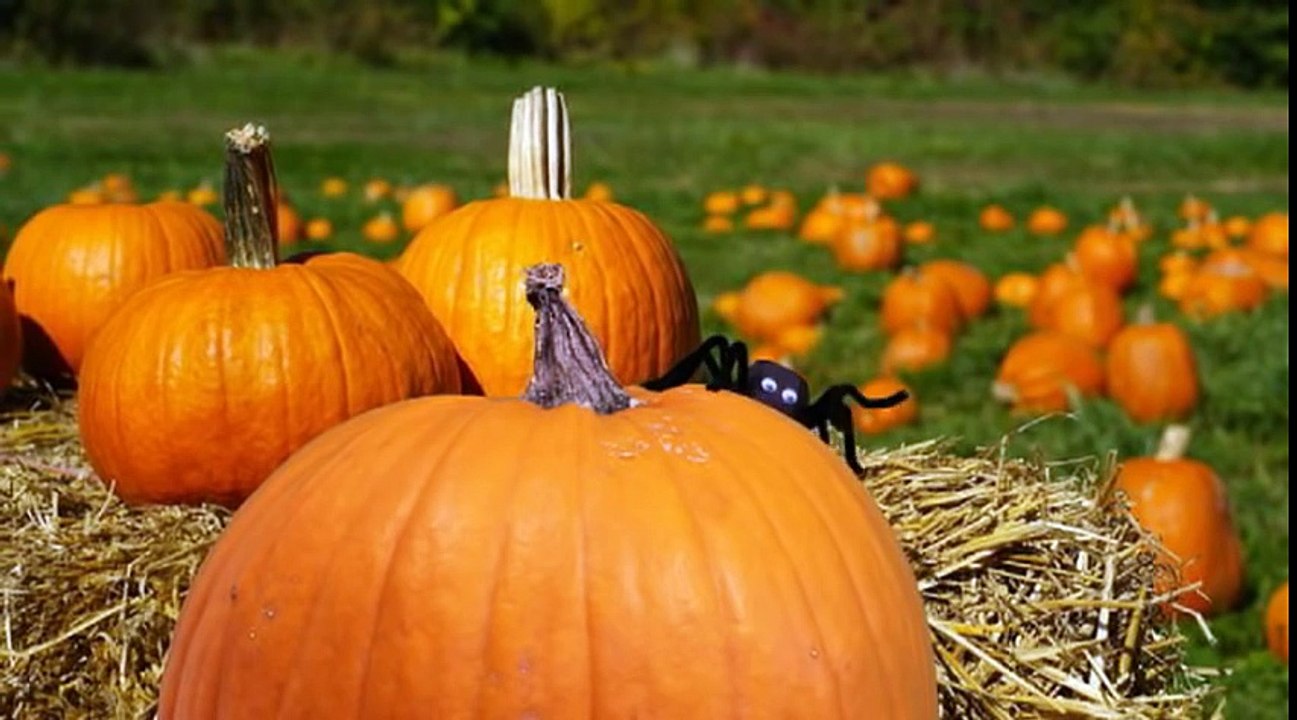 [Tuto] Fabriquer des araignées pour Hallowenn !