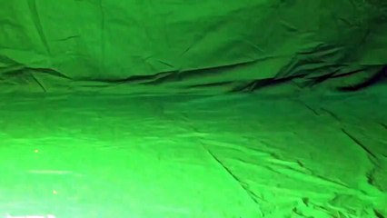 Tiger attack green background gif