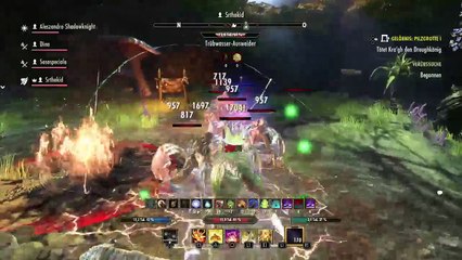 DonAleszandro The Elder Scrolls : «-Durch die Veteranen Pilzgrotte mit dem Handelsheiler-» (9)