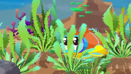 NEW cartoons for kids. Flippy the Submarine. Animation for kids and educational cartoon.