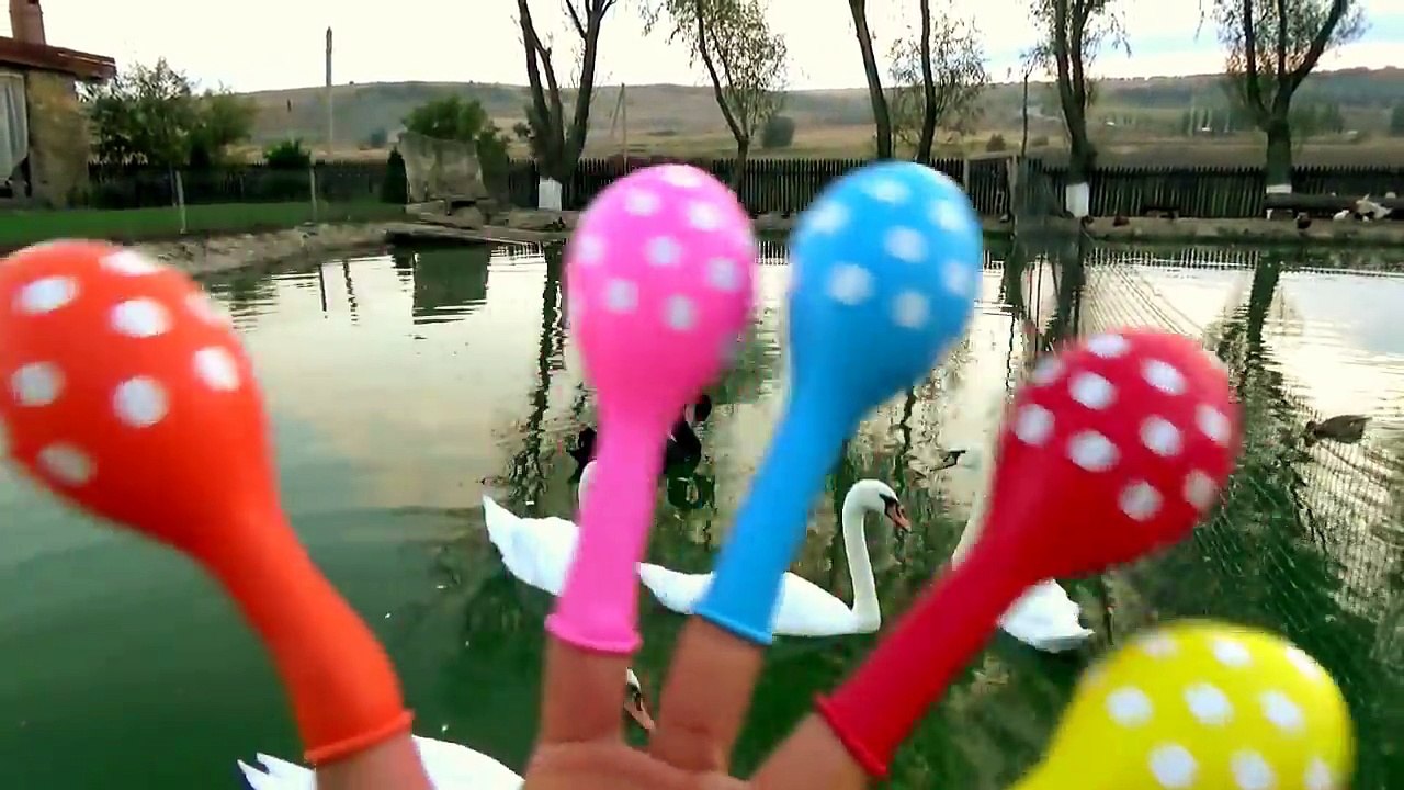 Learn colors with dots polka Balloons for kids Children nursery rhymes song Balloon swans fun educat