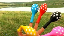 NEW Finger Family Song for Learning Colors Polka Dots Balloons Nursery Rhymes for Kids