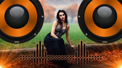 Arman Cekin & Ellusive - Show You Off (feat. Xuitcasecity) [Bass Boosted]