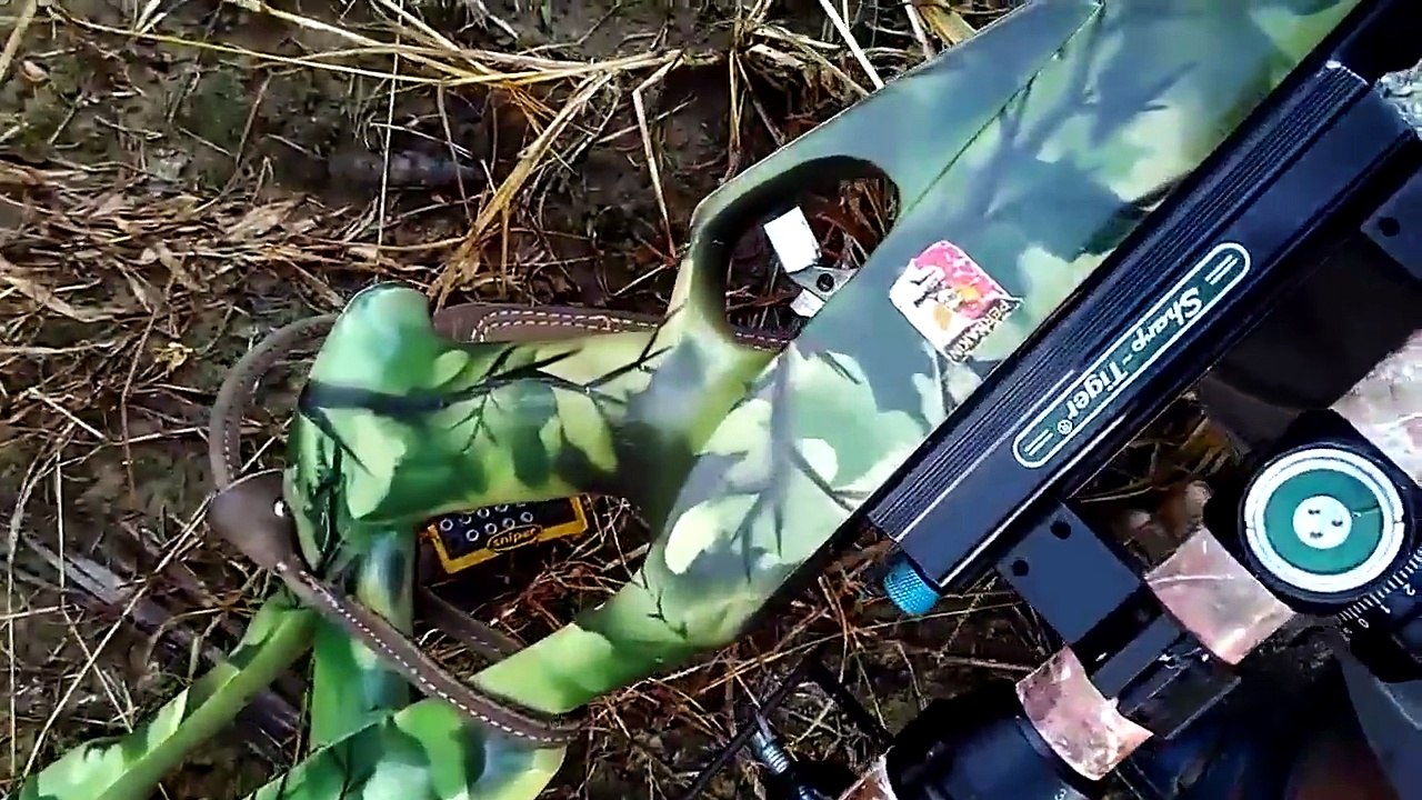 Video Berburu Burung Tekukur Dengan Senapan Angin Sharp Tiger #3