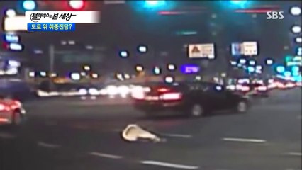 [블랙박스] 충격!! 절대보면 안되는 고속도로 사망 사고 (임산부 노약자 주의!)