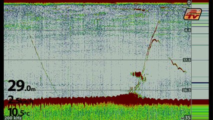 GRAND PAVOIS FISHING 2017 - Yannick Deslandes dimanche