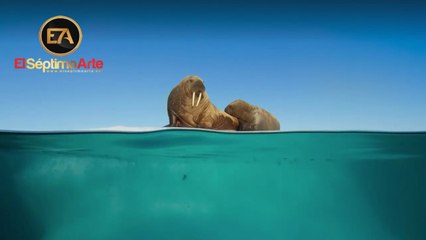 Planeta Azul II (BBC Earth) - Tráiler V.O. (HD)