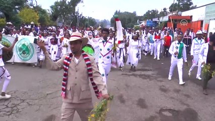 Etiyopya'daki Irreecha Festivali'ne Protestolar Damga Vurdu - Addis
