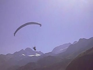 Marcassins savoisiens