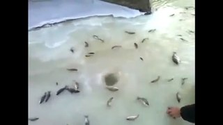 Crazy Russian Ice Fishing