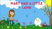 Mary Had A Little Lamb Nursery Rhymes No Vocals - Kids Sogs MG