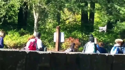 Mt. Saint Helens, Ausia's birthday, $2 shower - Full time van life