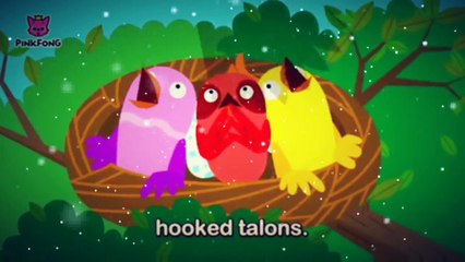 Powerful Bald Eagle - Eagle Animal Song - Pinkfong song for children