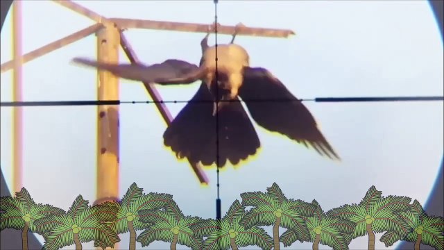 pcp p10 airgun pest bird crow shooting