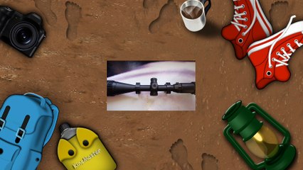 pcp airgun English sparrow hunting