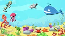 Ocean Animals! Learning Ocean Animals for Kids