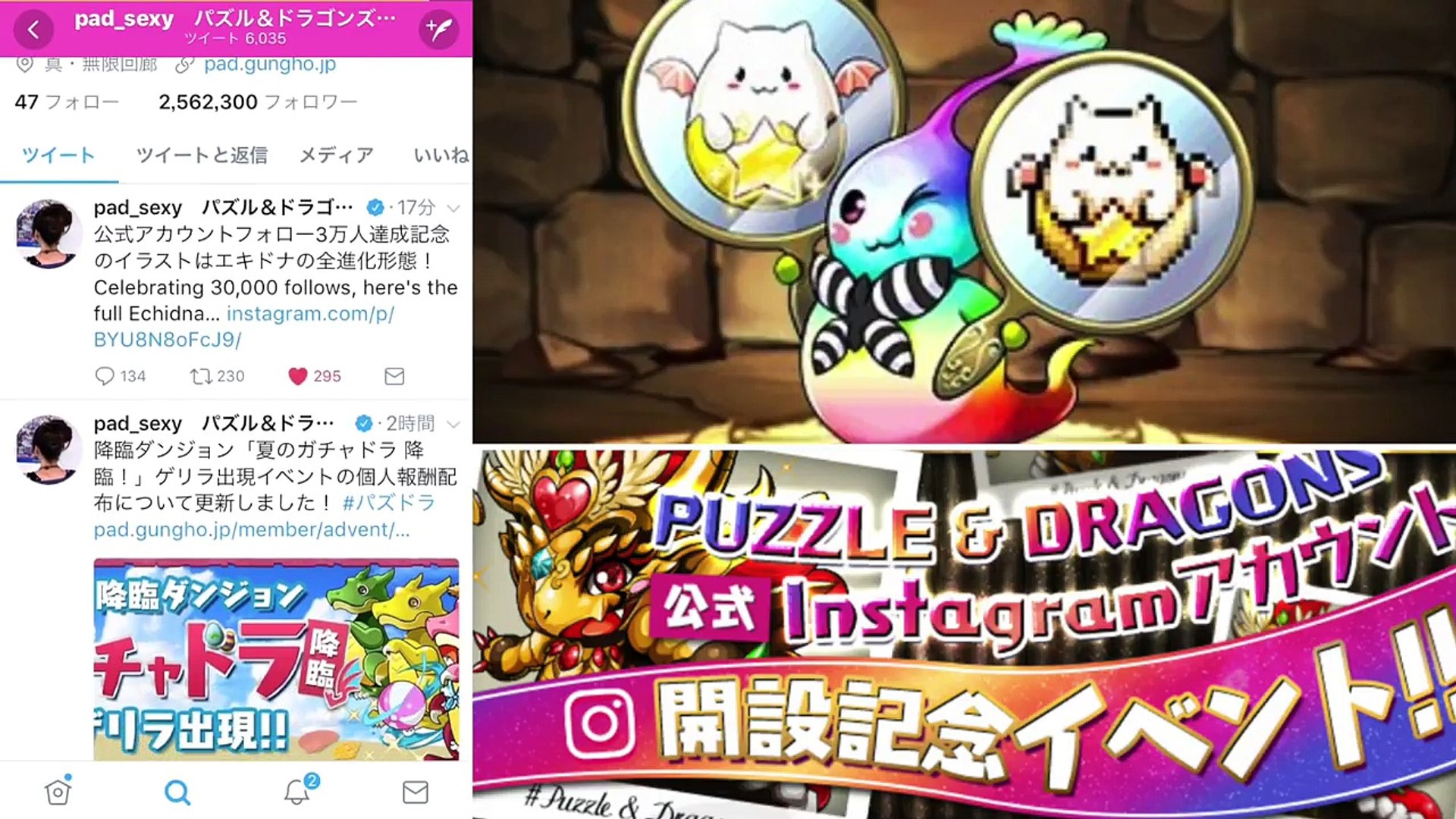 パズドラ 最新情報 ドットエキドナ ガチャドラ報酬について 祝instagram３万人 ドット エキドナ 可愛い Video Dailymotion