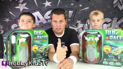 Bug Racers! LIVE Cricket Car Racing + Loser Fed to Frog, Family Fun HobbyKidsTV