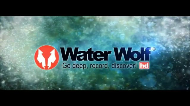 Fishing Lures Bait Alternatives-RAPALA LIVE ACTION