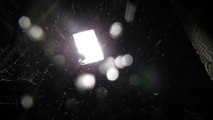 Snowing at camera - HD animated background loop video, animation,free download