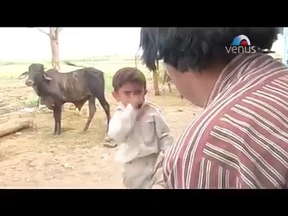 Funny comedy clips must watching