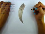 How to draw hair using colored pencils