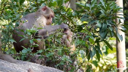 Im old enough to explore the world !