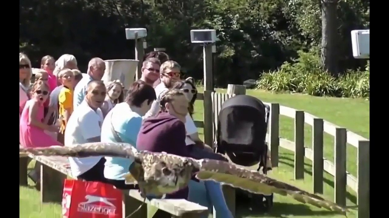 When You Think You've Seen Everything in This World