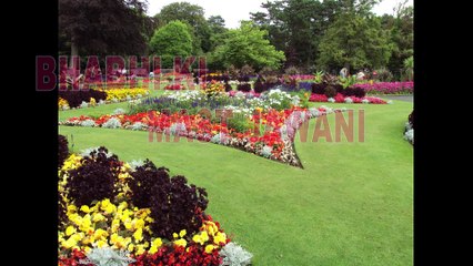 देवर जी मेरा  गिरने लगा पूरा खोलकर डाल दो !! New Comedy Video Full Comedy Show_Full-HD