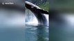 Saut impressionnant d'une baleine à quelques mètres d'un bateau !
