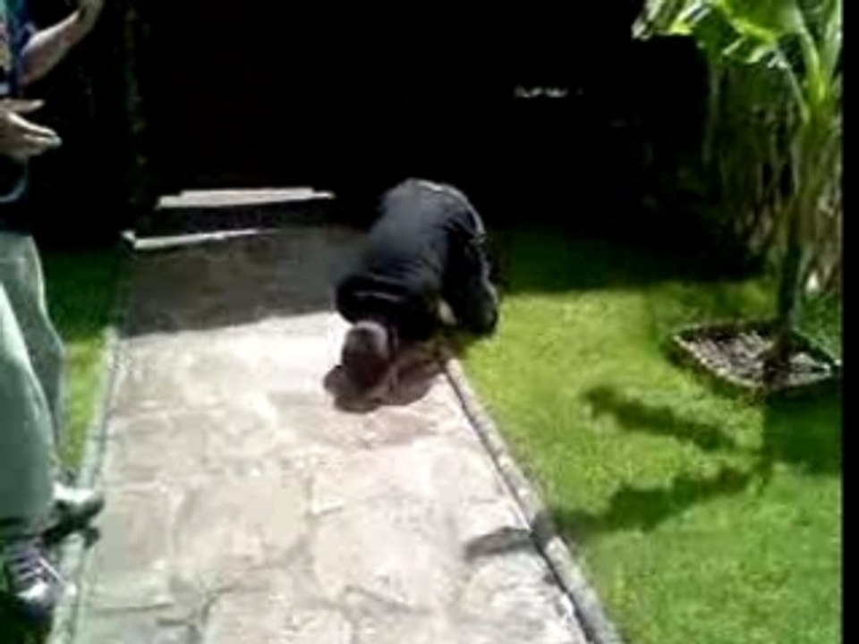 Essai Lacrymo + Rire enorme !!!