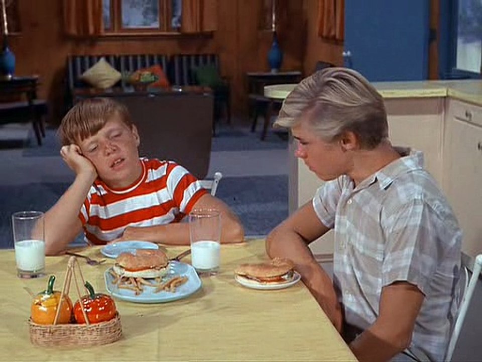 Flipper 1964 S01e13