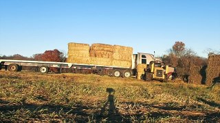 Load N Drive The Western Star