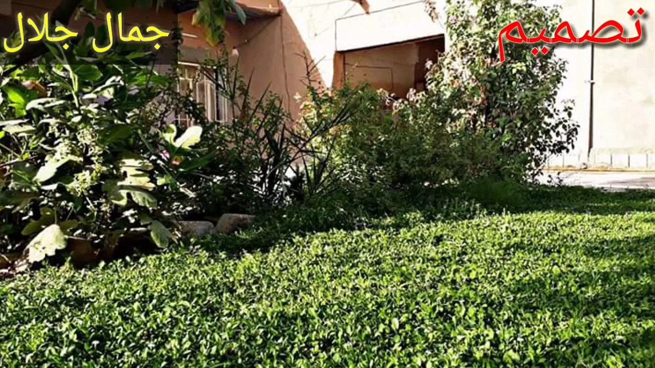 قه ت بروا مه كه دله ي ره نجه رو.خه نده بيته جيي شين وباوكه رو