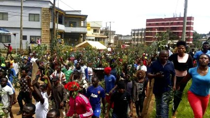 Secessionist protests in Cameroon's Anglophone regions turn deadly