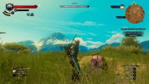 Side Quest Boss Fight. - The Witcher 3:Wild Hunt - Blood and Wine DLC