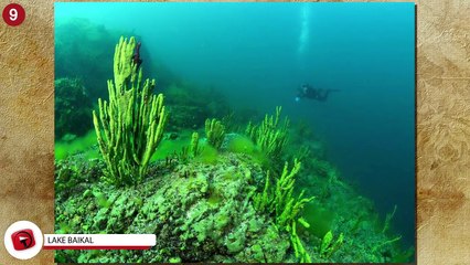 Bizarre Discoveries in Russia