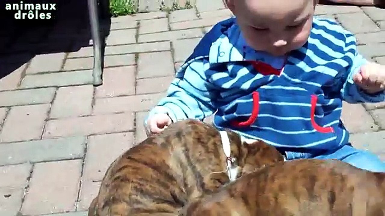 Les bébés et les chiots jouent ensemble