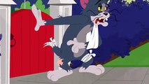 توم وجيري عربي حلقه 3 كامل -Tom and Jerry episodes‬ 3