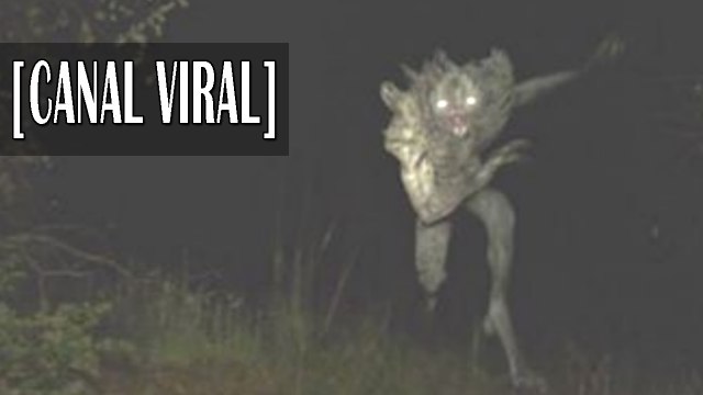 Horribles historias de terror en 2 frases | Historias de terror reales