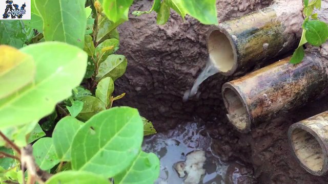 The Best Idea For Catch fish 2017 with Bamboo hole fish trap - How to Catch fish in Khmer