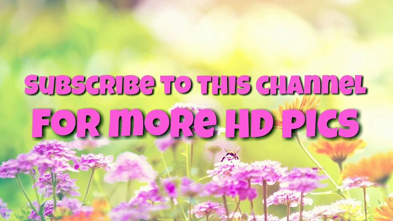 Chetana Uttej latest hot photoshoot pics _SA Pics