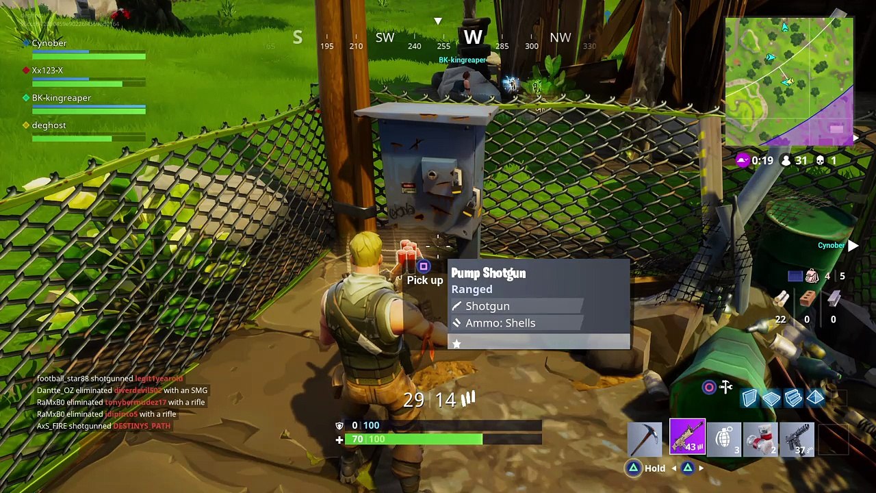 Fortnite Victory