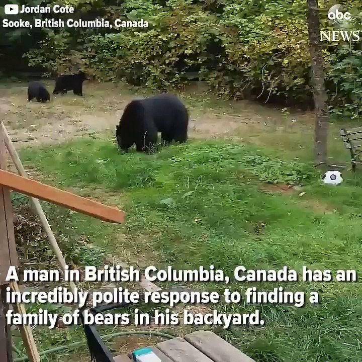 Como lidar com URSOS no Canadá