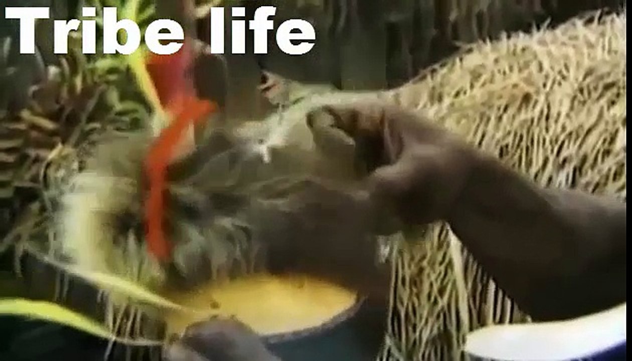 African tribes cultures, rituals and ceremonies, lifestyle par 4