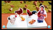 On The Farm ~ Touch, Look, Listen - Best App For Kids - iPhone/iPad/iPod Touch
