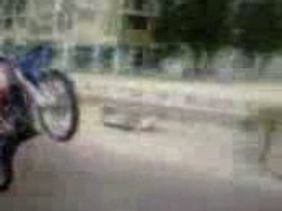 bibo en lever 2