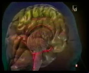 Hipertension arterial (HTA): Autopsia forense