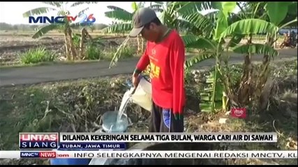 Dilanda Kekeringan 3 Bulan, Warga Cari Air di Sawah